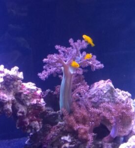 WP 20160304 14 02 38 Pro highres