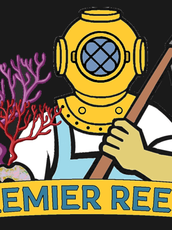 Soft Coral Mystery 5 Pack